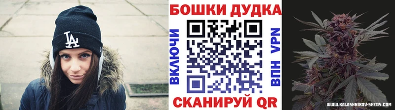 Бошки марихуана планчик  магазин продажи наркотиков  Балабаново 
